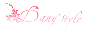SOCIETE DANY STYLE