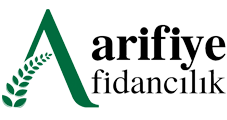 ARİFİYE ÇİÇEKÇİLİK FİDANCILIK TARIM ÜRÜNLERİ