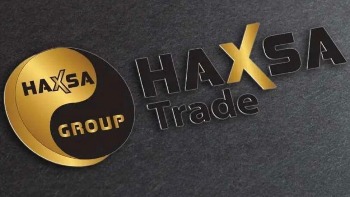 What is the importance of Haxsa Online B2B for today's business world? 